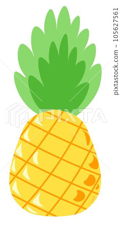 Pineapple tasty tropical and exotic fruit leaf Pineapple tasty tropical and exotic fruit leaf 105627561