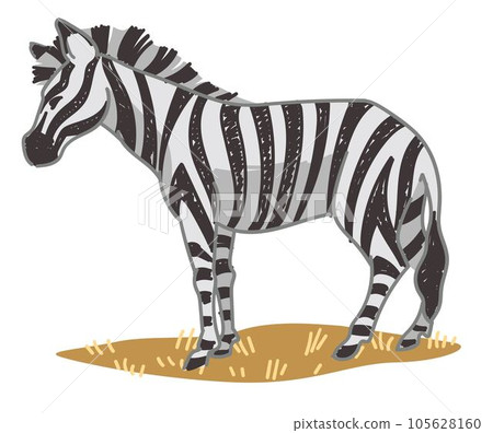 Zebra equine animal with stripes on skin vector Zebra equine animal with stripes on skin vector 105628160