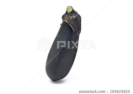 [Eggplant] (depth composition) 105628820