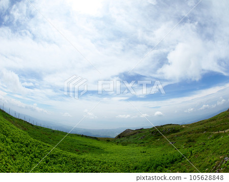 Ibuki plateau 105628848