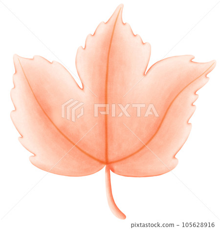 Colorful Maple Leaf Illustration in Watercolor 105628916