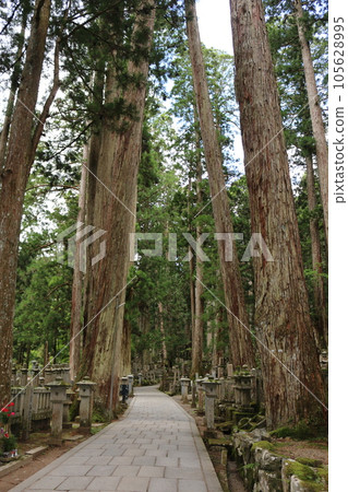 Koyasan Okyon-in Koyasan Okyon-in 105628995