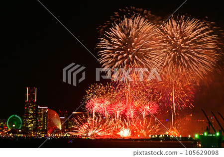 盛開在港未來煙火花壇 105629098