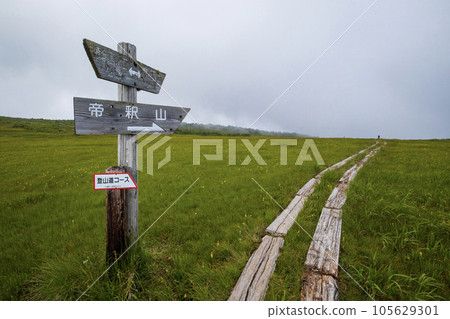 田代山頂附近的花田 田代山頂附近的花田 105629301