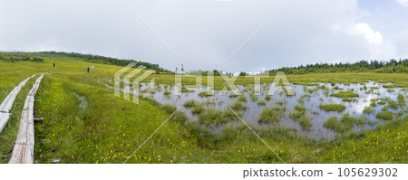 田代山頂附近的花田 田代山頂附近的花田 105629302