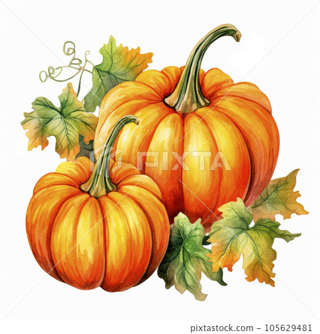 Autumn watercolor illustration with pumpkins and flowers leaves isolated on white background. Watercolor hand-painted perfect for design decorative greeting cards, or posters in the autumn festival. 105629481