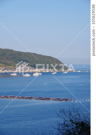 德島縣阿南市椿泊町風景 105629586