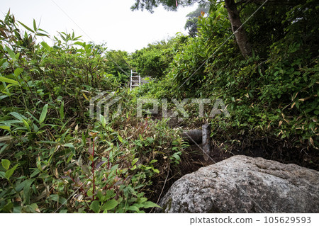 Mt. Taishaku (Border between Fukushima and Tochigi prefectures) climbing trail ladder Mt. Taishaku (Border between Fukushima and Tochigi prefectures) climbing trail ladder 105629593