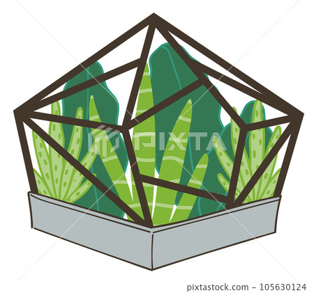 Succulents growing in glass terrarium ecosystem 105630124