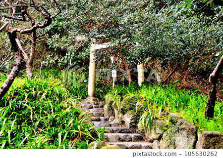 Kamakura City Kumano Gongen Shrine in the precincts of Egara Tenjin Shrine 105630262