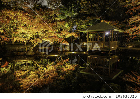 Otaku公園秋葉 105630329