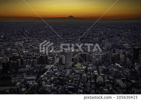 東京都政府的夜景 東京都政府的夜景 105630415