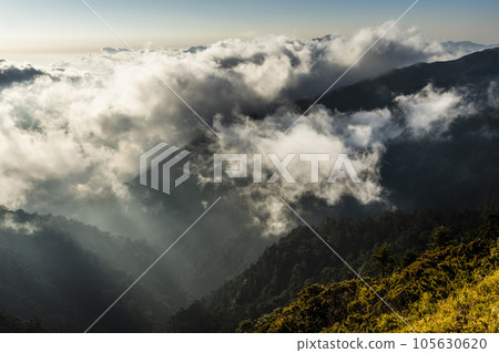 Beautiful view of cloud sea in Hehuan Mountain Forest Recreation Area of Nantou, Taiwan. 105630620