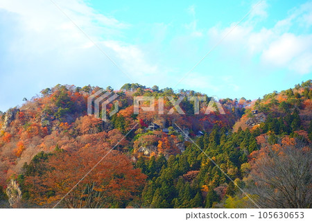 Tateishi Temple Yamadera Autumn Leaves Yellow Leaves Tateishi Temple Yamadera Autumn Leaves Yellow Leaves 105630653