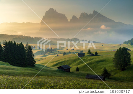 Seiser Alm (Alpe di Siusi) with Langkofel mountain at sunrise in summer, Italy Seiser Alm (Alpe di Siusi) with Langkofel mountain at sunrise in summer, Italy 105630717