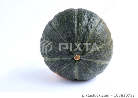 Chestnut pumpkin 105630752