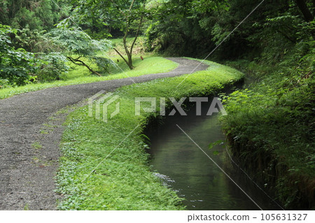 沿著河邊的小路通向森林 沿著河邊的小路通向森林 105631327
