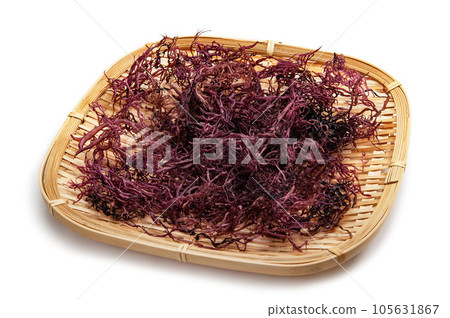 野郡 野郡 105631867