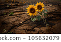 Two wheel sunflower 105632079