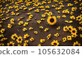 fallen sunflowers 105632084
