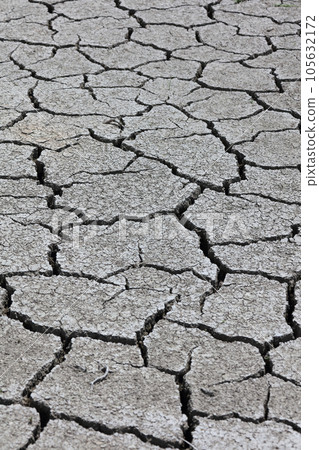 Image of drought and water shortage (cracked rice field) 105632172