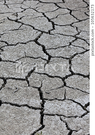 乾旱缺水的形象（龜裂的稻田） 105632173