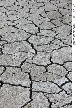 乾旱缺水的形象（龜裂的稻田） 105632174