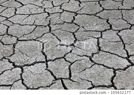 Image of drought and water shortage (cracked rice field) Image of drought and water shortage (cracked rice field) 105632177