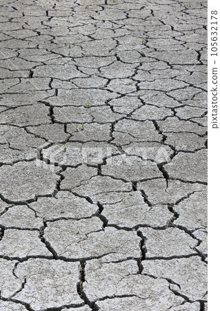Image of drought and water shortage (cracked rice field) 105632178