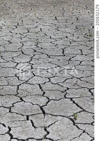 Image of drought and water shortage (cracked rice field) Image of drought and water shortage (cracked rice field) 105632179