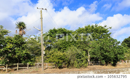 Kazusa Tsurumai Station on the local Kominato Railway 105632795