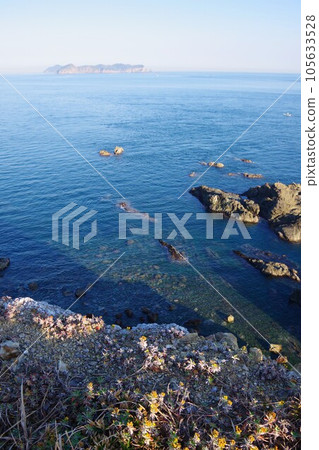 Anan City, Tokushima Prefecture Looking toward Ijima, Maejima, and Tanagojima from Gamoda Cape 105633528