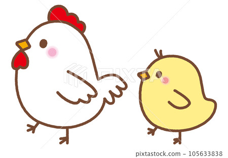 chicken and chick illustration 105633838