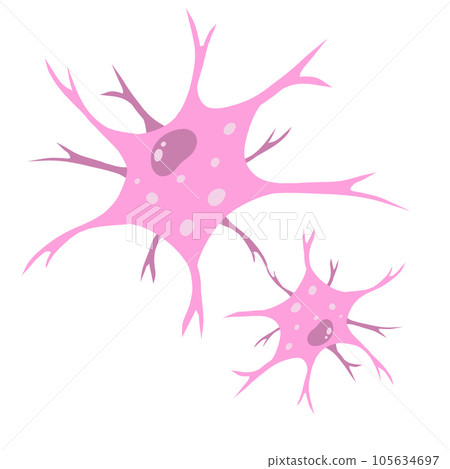 Neuron cell. Brain activity and dendrites. Membrane and the nucleus. Medical Concept of memory and connection. Educational illustration isolated on white 105634697