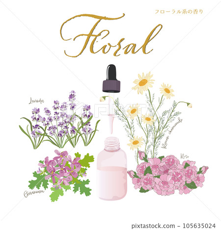 Floral, flower scent, aroma & essential oil, rose, geranium, lavender, chamomile 105635024