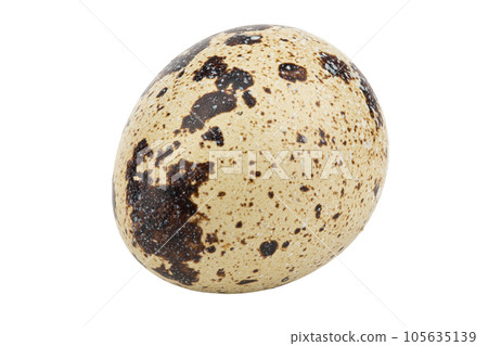One quail egg isolated on white background. File contains clipping path. 105635139