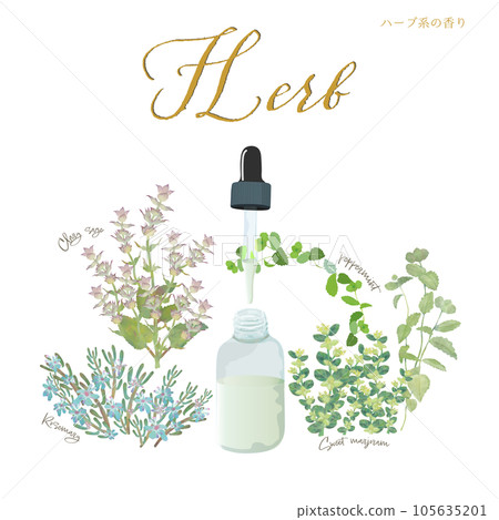 Herbal fragrance, aroma & essential oil, rosemary, clary sage, peppermint, marjoram Herbal fragrance, aroma & essential oil, rosemary, clary sage, peppermint, marjoram 105635201