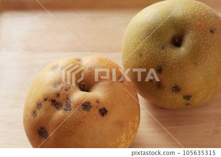 Pear with translation (Kosui) 105635315