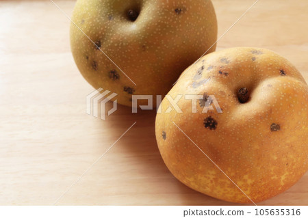 Pear with translation (Kosui) 105635316