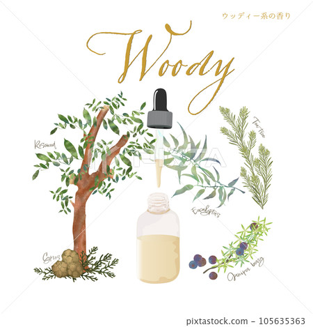 Woody scent, tree scent, cypress, tea tree, eucalyptus Woody scent, tree scent, cypress, tea tree, eucalyptus 105635363