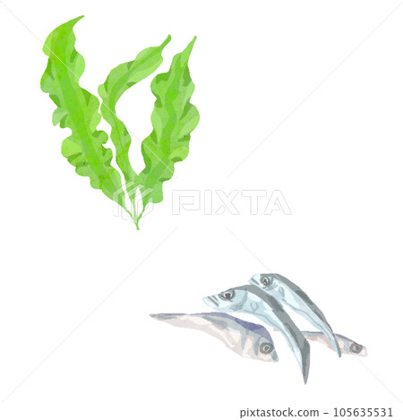裙帶菜和沙丁魚水彩矢量圖 裙帶菜和沙丁魚水彩矢量圖 105635531