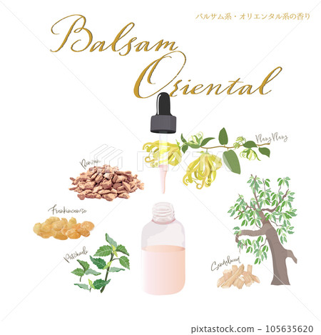 Balsam fragrance, oriental fragrance, essential oil, aroma 105635620