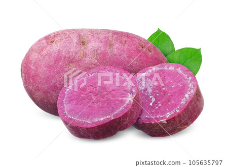 Sweet potato isoalted on white background 105635797