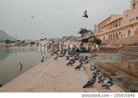 Holy lake in Pushkar, Rajasthan India.  105635848