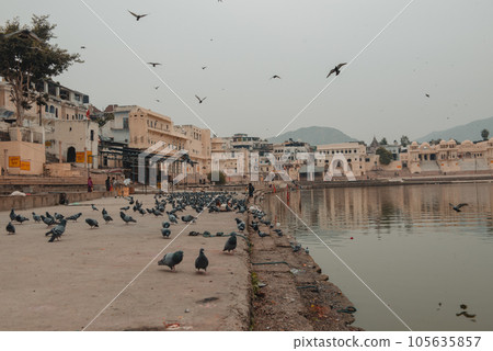 Holy lake in Pushkar, Rajasthan India. Holy lake in Pushkar, Rajasthan India. 105635857