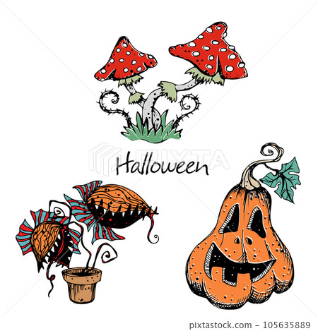 Decorative elements for Halloween. Mushrooms fly agaric and pumpkin, flycatcher predator plant. Vector Decorative elements for Halloween. Mushrooms fly agaric and pumpkin, flycatcher predator plant. Vector 105635889