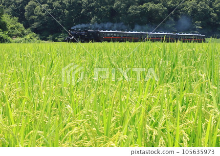 以SL Moka為背景的“八月初田園風光” 105635973