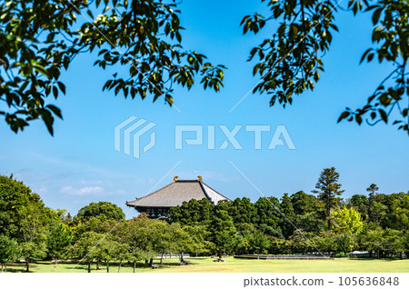從奈良公園春日野園地看到的東大寺大佛殿 從奈良公園春日野園地看到的東大寺大佛殿 105636848