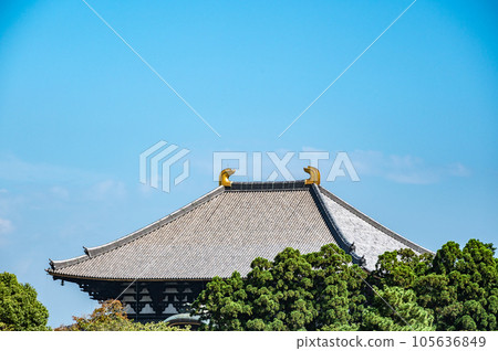 東大寺大Bodens 東大寺大Bodens 105636849