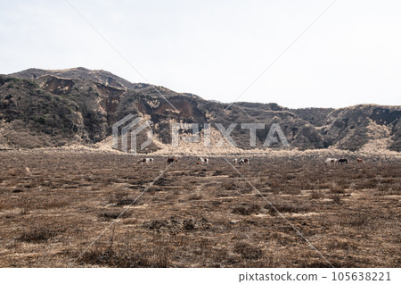 Aso Kusasenrigahama Scenery after field burning 105638221